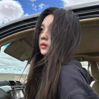 维尔·达斯：异乡游子